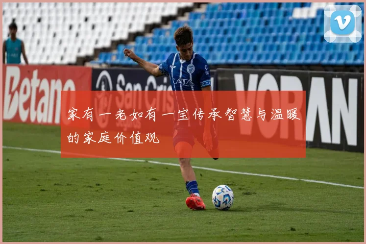 家有一老如有一宝传承智慧与温暖的家庭价值观