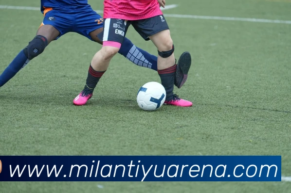 米兰体育平台生态图