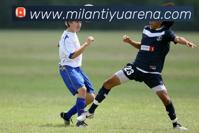 米兰体育APP 封面图